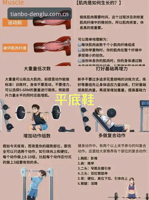 天博体育使用教程 天博体育平台使用完整实用指南:从入门到解决常见问题必备知识