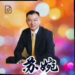 苏婉